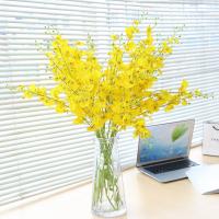 uploads/erp/collection/images/Home Garden/CongDing/XU0611617/img_b/XU0611617_img_b_1